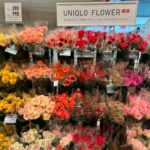 【残像日録】服を選ぶように花を選ぶ 〜 UNIQLO FLOWERでお花を買った