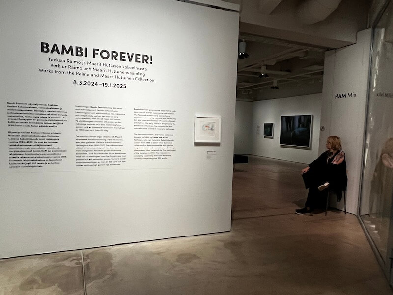 フィンランド訪問「ヘルシンキ編」 #9 ヘルシンキ・アート・ミュージアム（HAM= Helsinki Art Museum）に行った！