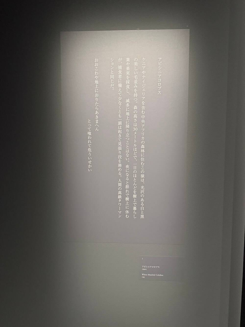 銀塩写真、約60点。「杉本博司 絶滅写真」展＠東京国立近代美術館（竹橋）