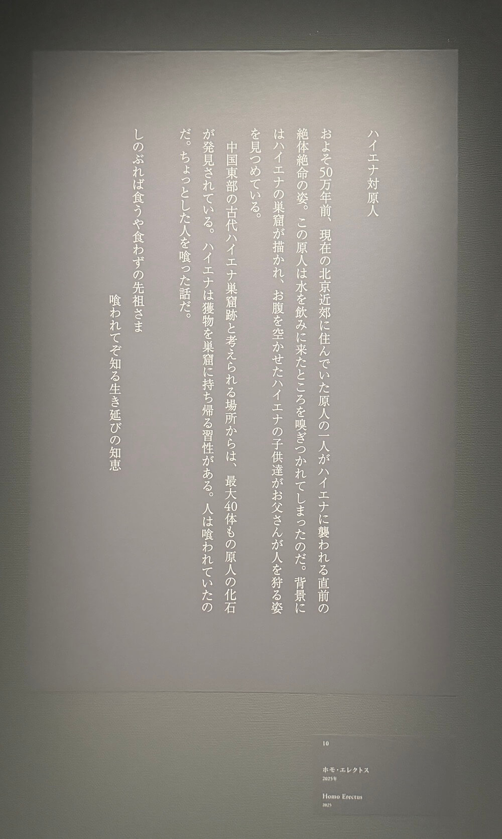 銀塩写真、約60点。「杉本博司 絶滅写真」展＠東京国立近代美術館（竹橋）