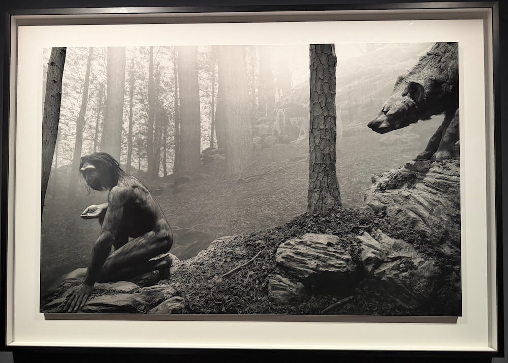 銀塩写真、約60点。「杉本博司 絶滅写真」展＠東京国立近代美術館（竹橋）