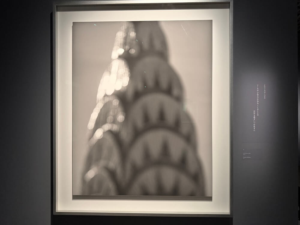 銀塩写真、約60点。「杉本博司 絶滅写真」展＠東京国立近代美術館（竹橋）