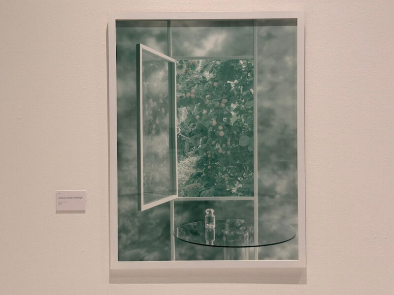 寺田真由美「不在の存在」展＠練馬区立美術館を観て写真を撮ることを考えた